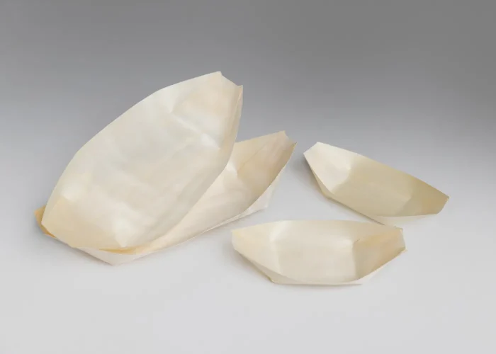 Food Packaging_ Bamboo boats