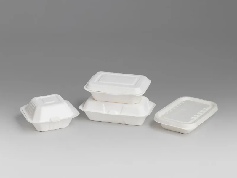 Food Packaging_ Sugarcane clamshells