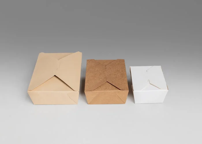 Food packaging_ Paper cold and heat-resistant food boxes