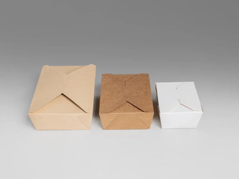 Food packaging_ Paper cold and heat-resistant food boxes Food packaging_ Paper cold and heat-resistant food boxes